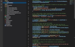 VS Code Showing Source of the API Endpoint (fully customizable)